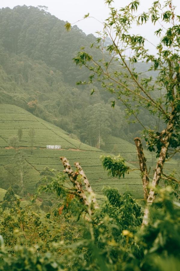 Bed and Breakfast The Train View Nuwara Eliya Exterior foto