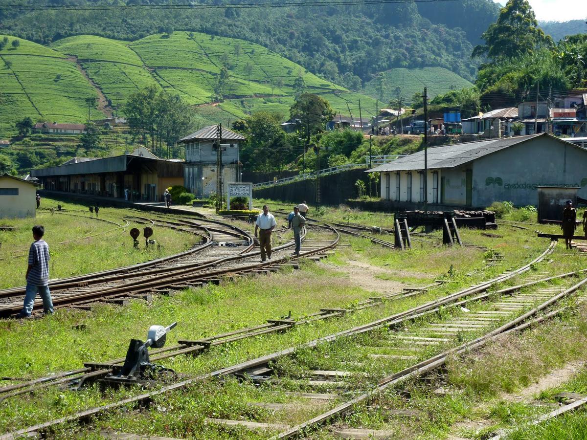 Bed and Breakfast The Train View Nuwara Eliya Exterior foto